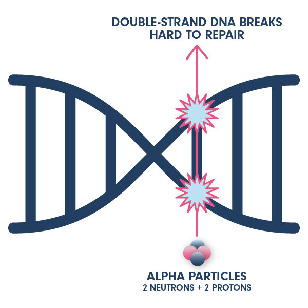 Targeted Alpha Therapy Cutting Edge Radionuclides Ionetix